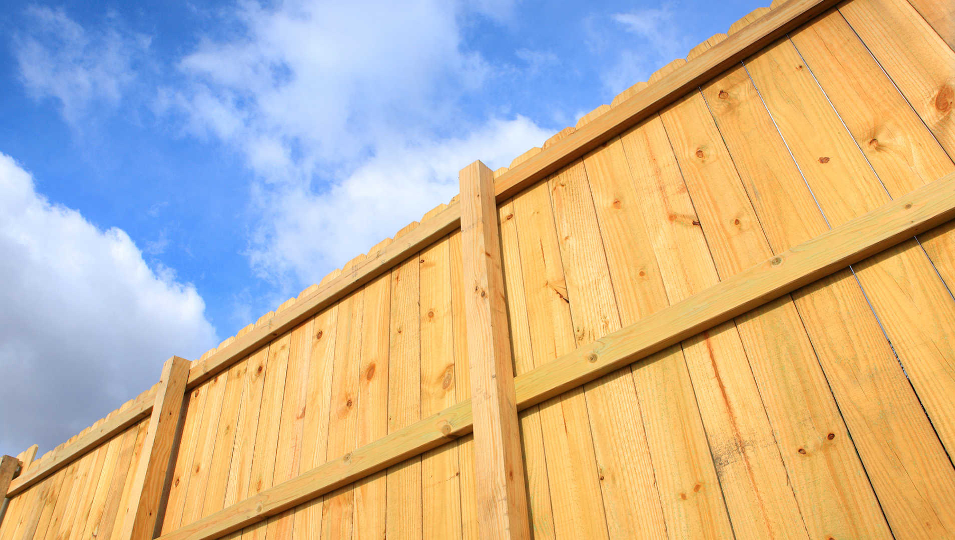 fence